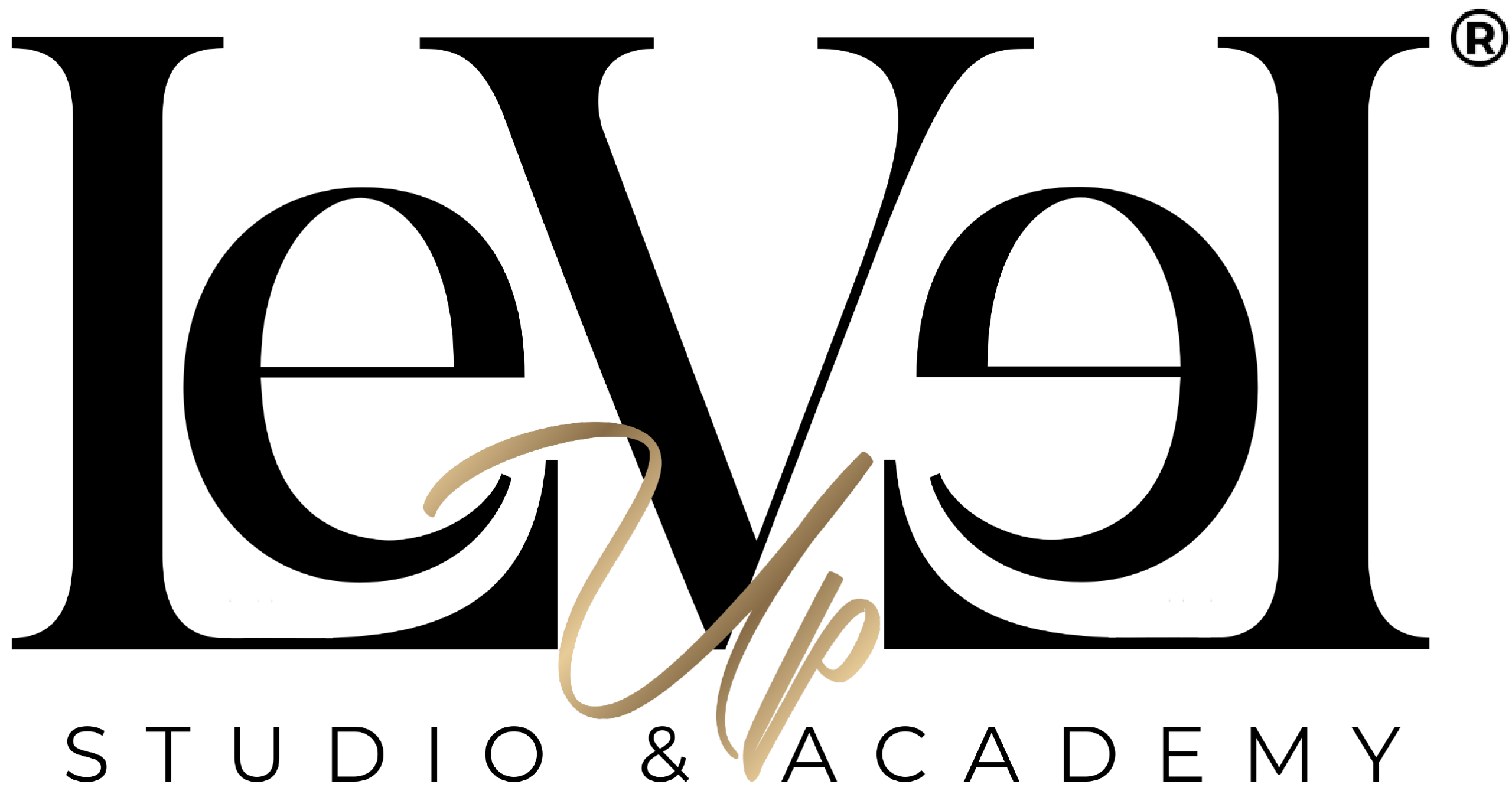 Level Up Studio & Academy